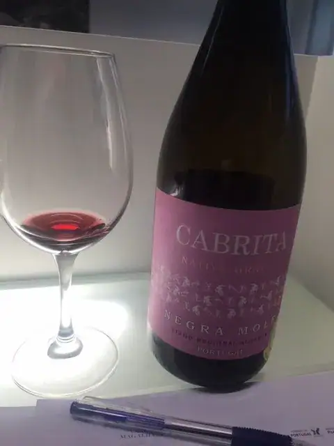 A casta que veio do Algarve — imagem 5