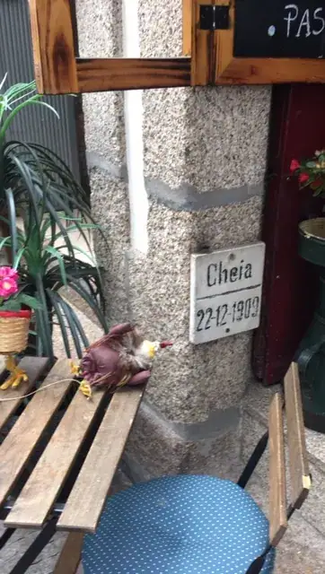 UVVA, dia 1 — imagem 3