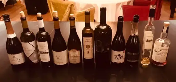 UVVA, dia 1 — imagem 20