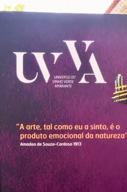 UVVA, dia 2 — imagem 11