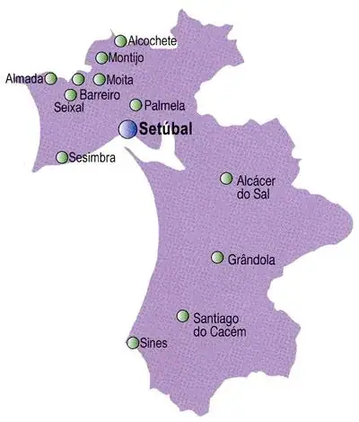 O caminho de Setúbal que leva à White Wine Party