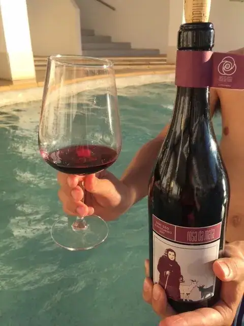 Paixão de Patrícia | Rosa Da Mata — imagem 3