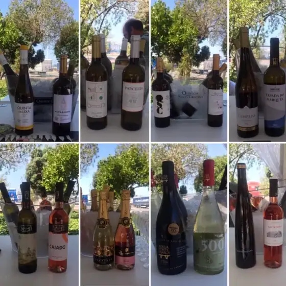 Dia Especial — aMar Matosinhos — imagem 4