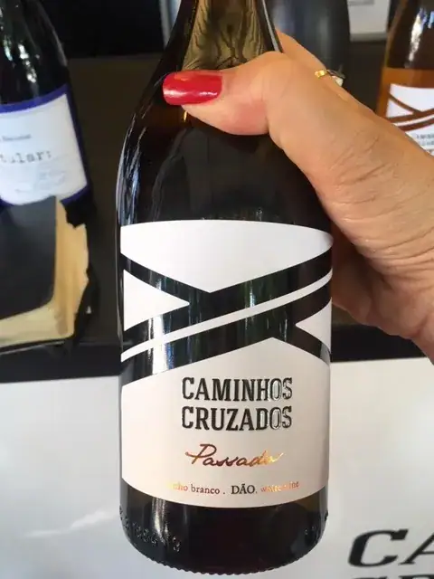 Passado...? Por favor, não fujas. | Passado de Caminhos Cruzados
