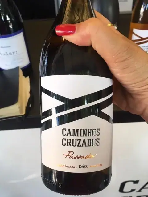 Passado...? Por favor, não fujas. | Passado de Caminhos Cruzados