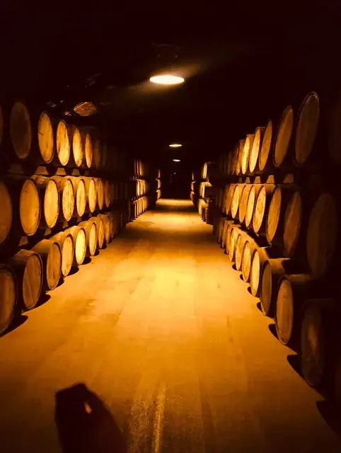 Irlanda e a sua bebida rei, o whiskey — imagem 12