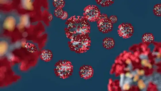 Coronavirus, novos tempos — imagem 2