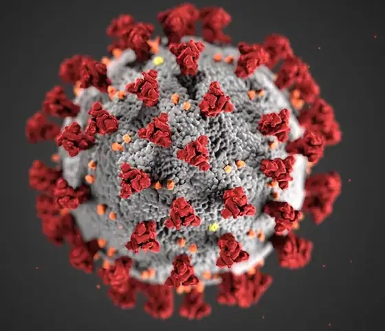 Coronavirus, novos tempos — imagem 4
