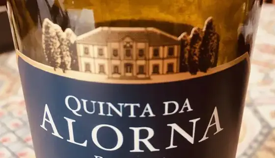 Vinho 1 — As minhas sugestões para uma garrafeira económica de qualidade — imagem 5