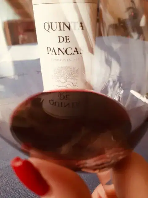 Vinho 2 — As minhas sugestões para uma garrafeira económica de qualidade