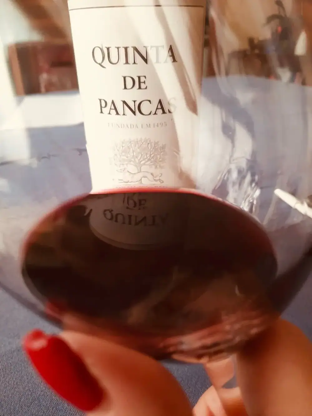 Vinho 2 — As minhas sugestões para uma garrafeira económica de qualidade