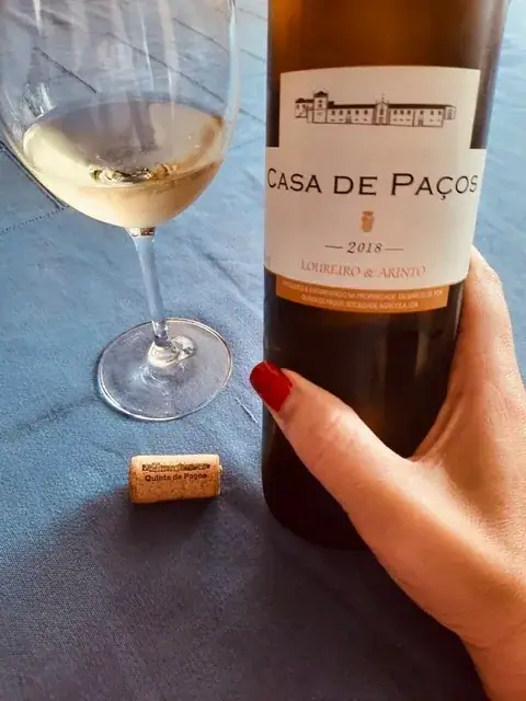 Vinho 3 — As minhas sugestões para uma garrafeira económica de qualidade