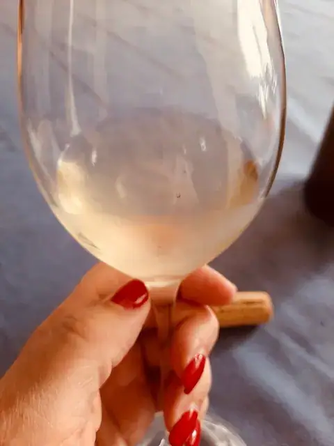Vinho 3 — As minhas sugestões para uma garrafeira económica de qualidade — imagem 8