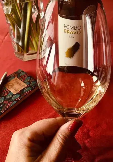 Vinho 4 — As minhas sugestões para uma garrafeira económica de qualidade — imagem 4