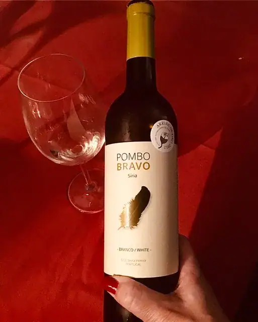 Vinho 4 — As minhas sugestões para uma garrafeira económica de qualidade — imagem 6