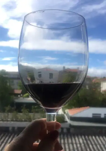 Vinho 7 — As minhas sugestões para uma garrafeira económica de qualidade — imagem 2