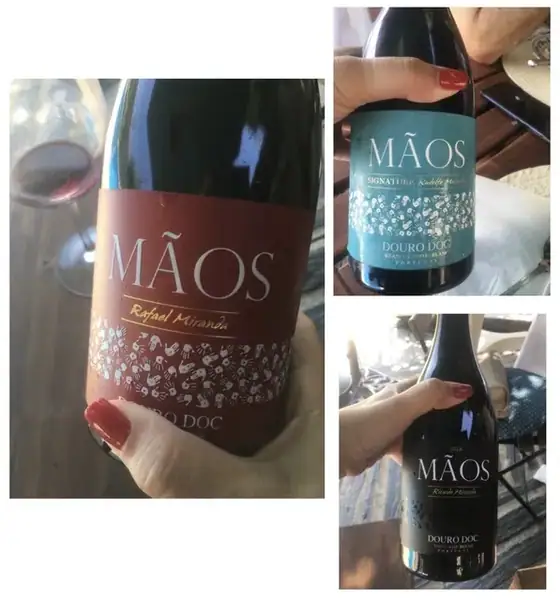 As Mãos do Rafael e dos seus irmãos — imagem 7