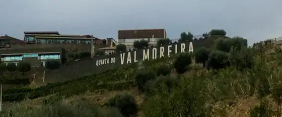 X Vinus — O refúgio dos vinhos para apreciar! — imagem 2
