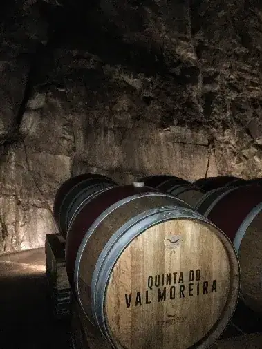 X Vinus — O refúgio dos vinhos para apreciar! — imagem 3