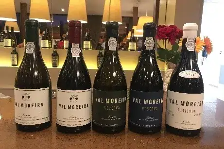 X Vinus — O refúgio dos vinhos para apreciar! — imagem 6