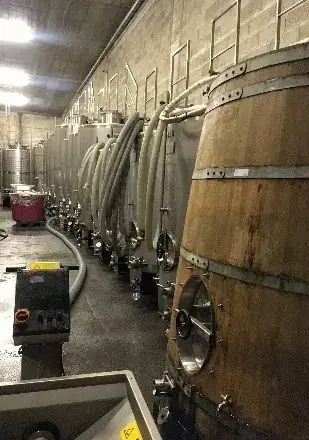 X Vinus — O refúgio dos vinhos para apreciar! — imagem 8