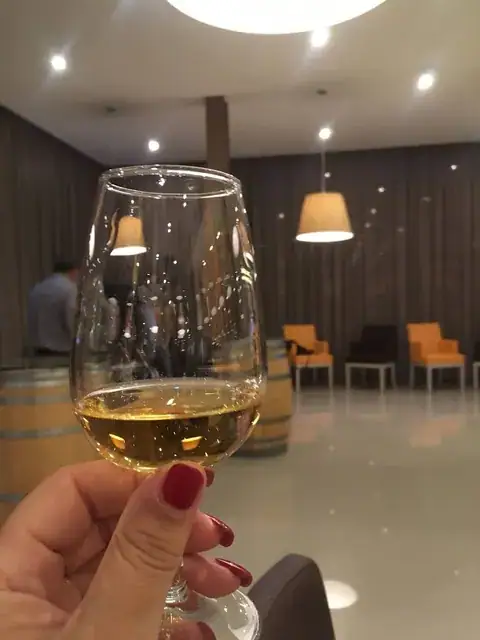X Vinus — O refúgio dos vinhos para apreciar! — imagem 18