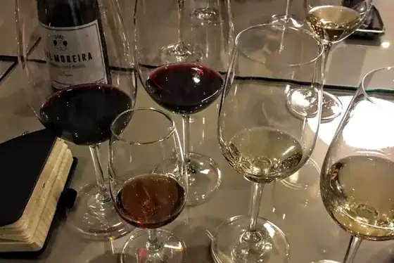 X Vinus — O refúgio dos vinhos para apreciar! — imagem 21