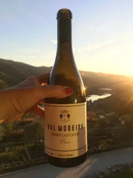 X Vinus — O refúgio dos vinhos para apreciar! — imagem 32
