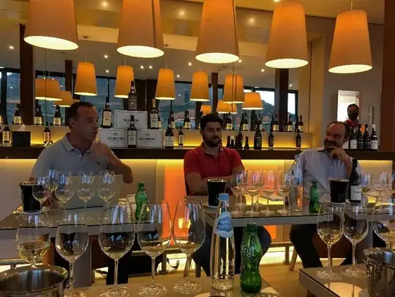 X Vinus — O refúgio dos vinhos para apreciar! — imagem 34