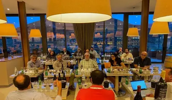 X Vinus — O refúgio dos vinhos para apreciar! — imagem 35