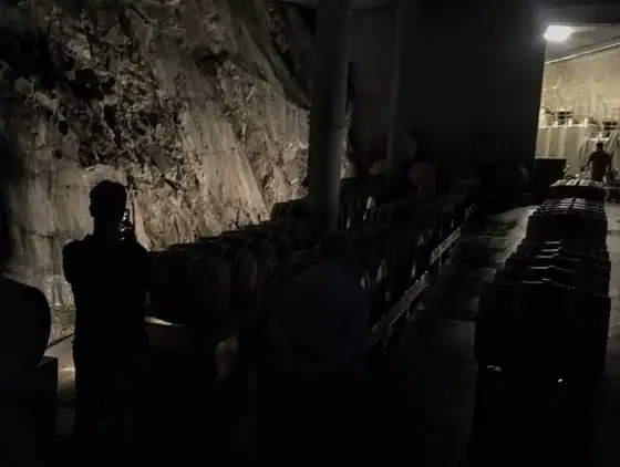 X Vinus — O refúgio dos vinhos para apreciar! — imagem 37