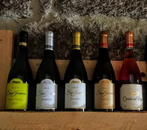 A Casa de Cello e a fermentação dos mostos