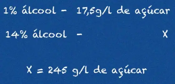 A Casa de Cello e a fermentação dos mostos — imagem 7