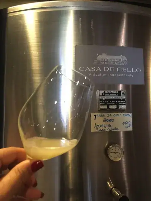 A Casa de Cello e a fermentação dos mostos — imagem 24