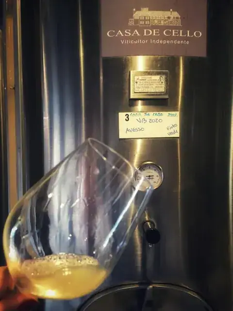 A Casa de Cello e a fermentação dos mostos — imagem 25