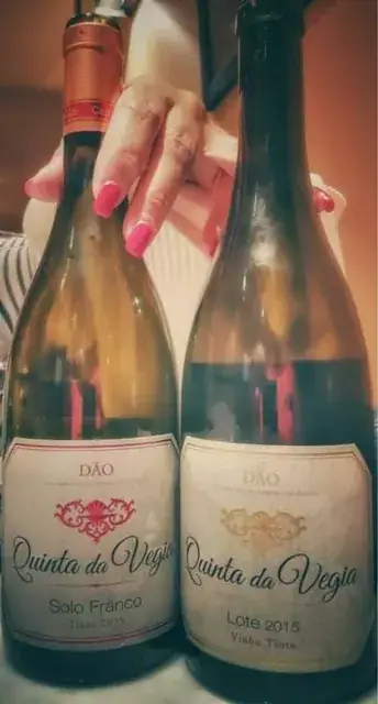 A Casa de Cello e a fermentação dos mostos — imagem 26
