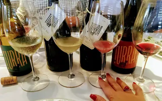 Turra, o melhor amigo do Homem e vinho de bons momentos!