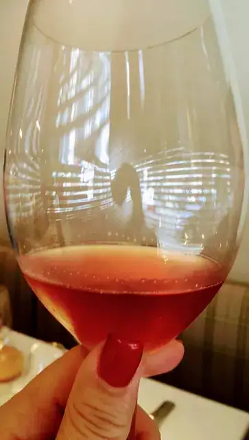 Turra, o melhor amigo do Homem e vinho de bons momentos! — imagem 4
