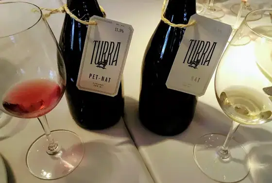 Turra, o melhor amigo do Homem e vinho de bons momentos! — imagem 14