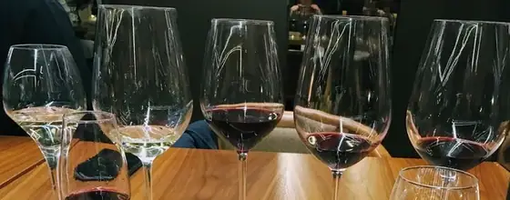 O vinho tinto do Tio Papo Seco — imagem 2