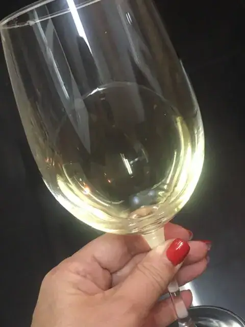 Ensaio ao Luxo no Vinho — imagem 2