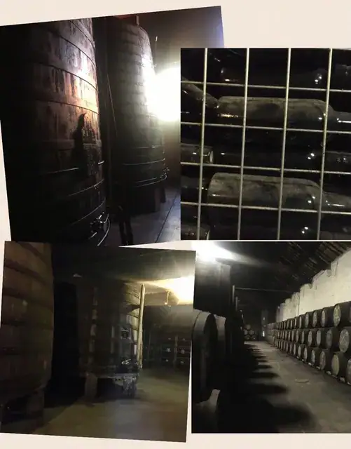 Vinho do Porto Churchill´s num passeio de fim de tarde... — imagem 6