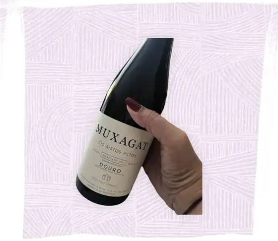 Hoje o mimo é... Muxagat, Os Xistos Altos, Rabigato 2017 — imagem 2