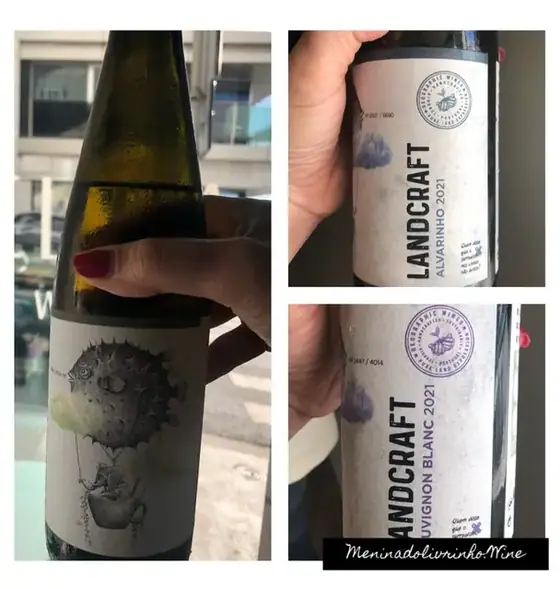 Um novo vinho Geographic Wines e um novo espaço Botella Food and Wine — imagem 3
