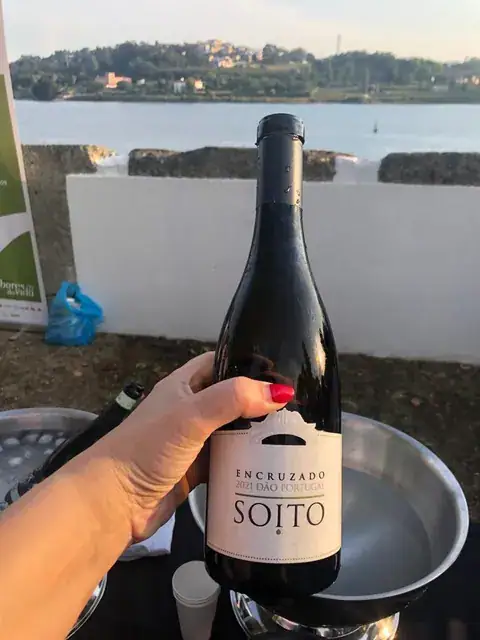 Alivetaste, Sabores da Vida em 2022 — imagem 12