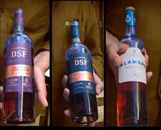 Vinho DOP, moscatel de Setúbal e queijo português! — imagem 10