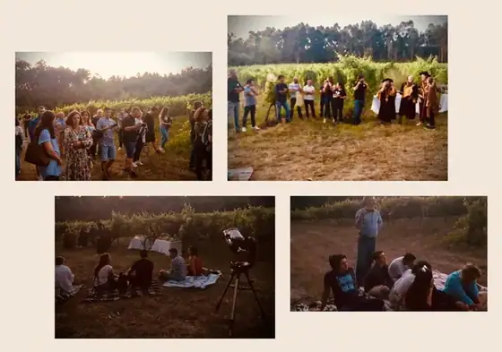 Na vinha à luz das estrelas — imagem 8