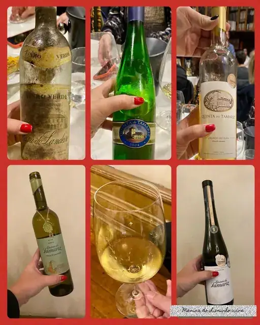 Quinta do Tamariz, lugar de vinhos com história — imagem 5