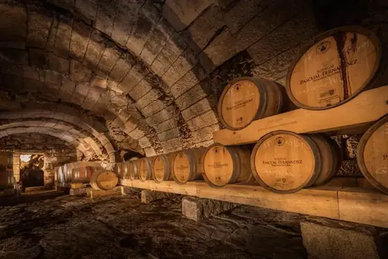Castas, regiões, história e curiosidades do vinho português.