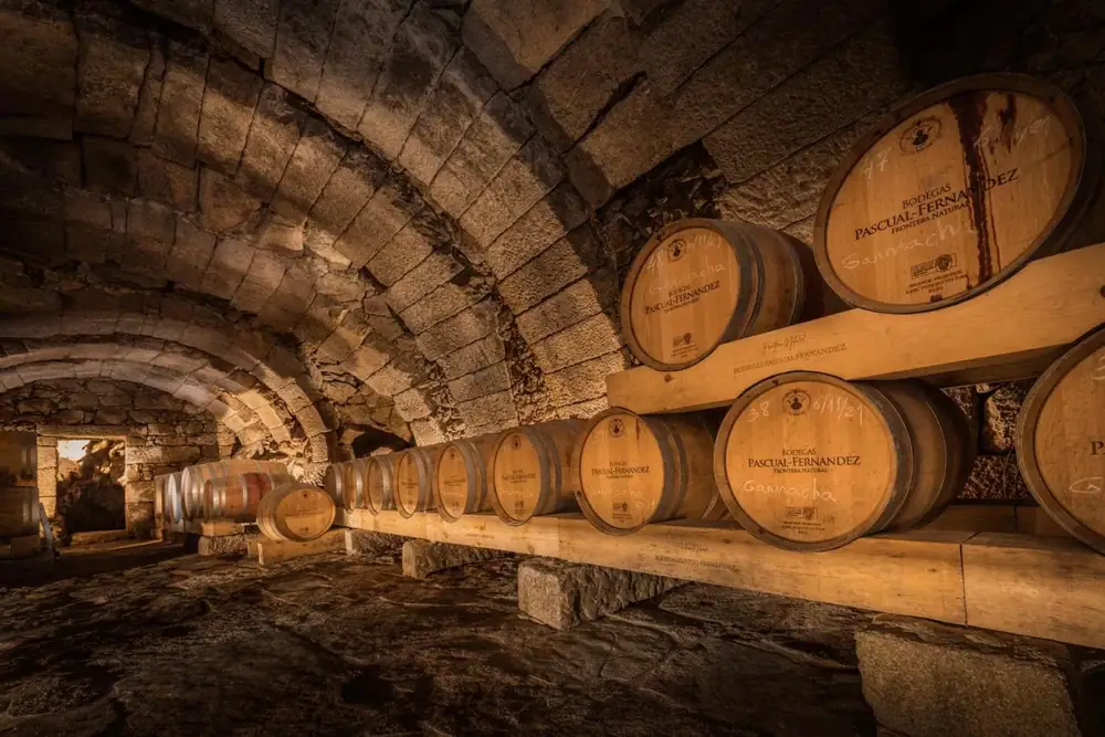 As variedades minoritárias de Arribes, das Bodegas Pascual Fernandez